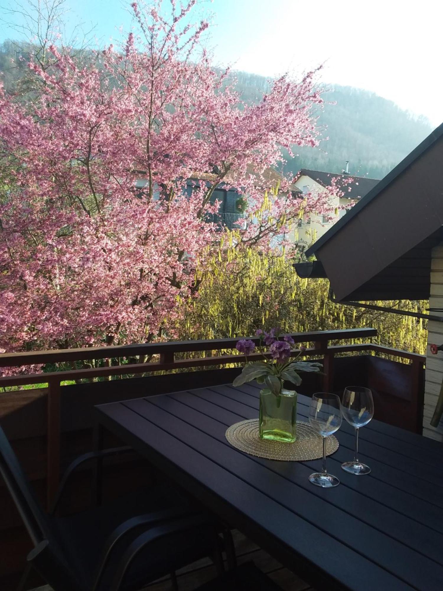 Apartamento Sterngaessle Deggingen Exterior foto